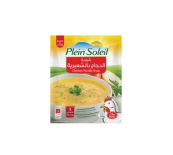 Chicken Noodle Soup 60G