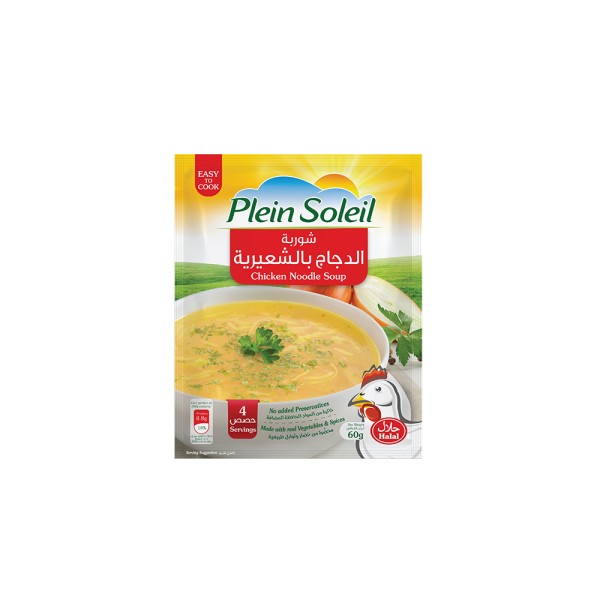 Chicken Noodle Soup 60G