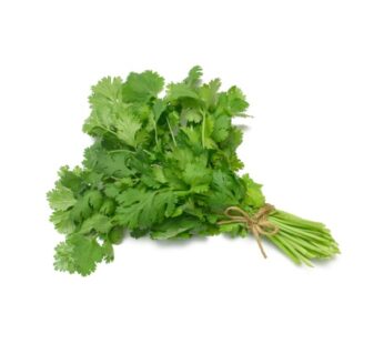 Coriander, One Bunch