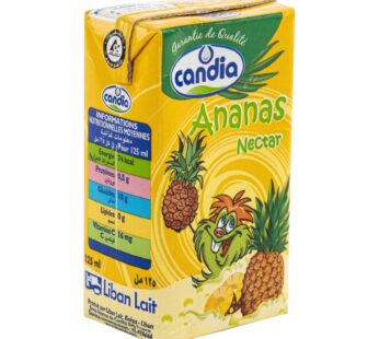 Candia Pineapple Nectar 125ML