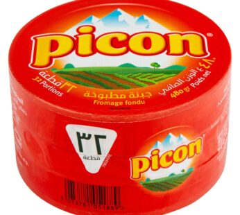 Picon Cheese Portions 32 PC 480G