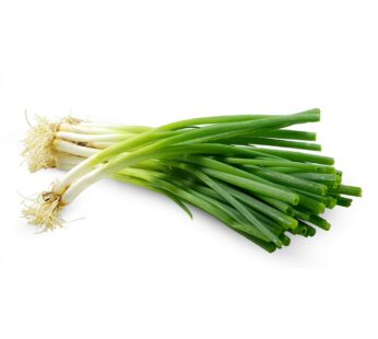 Spring Onion, One Bunch