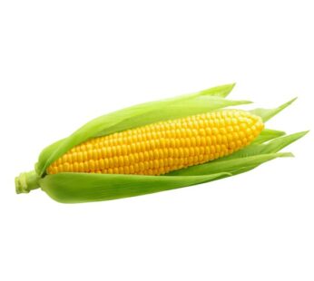 Sweet Corn 1 PC