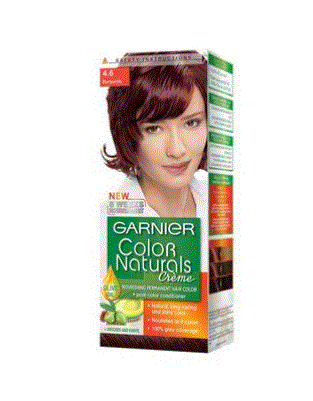 Garnier Color Naturals Hair Cream Burgundy No 4.6