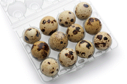 Quail Eggs Pack – 14 Pieces