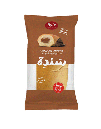 Byte Sande Chocolate Sandwich 100G